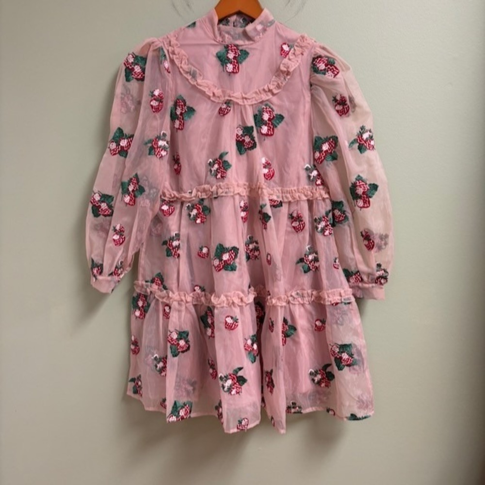 Sister Jane Womens Dress Size XS Coquette Sheer Strawberry Embroidered Ruffle